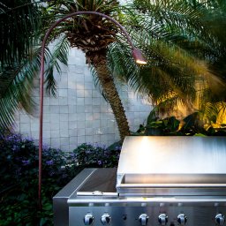 BBQ Trifid Insitu