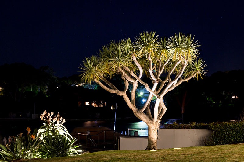 Garden tree deals lights