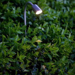 Triffid Slim_Triffid-Bondi Lights