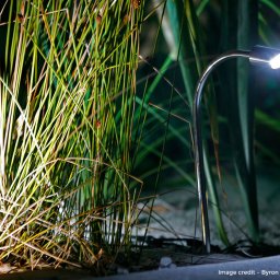 Trifid insitu - Bondi Lights