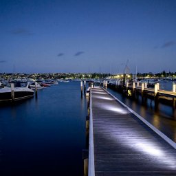 Trifid - Bondi Lights