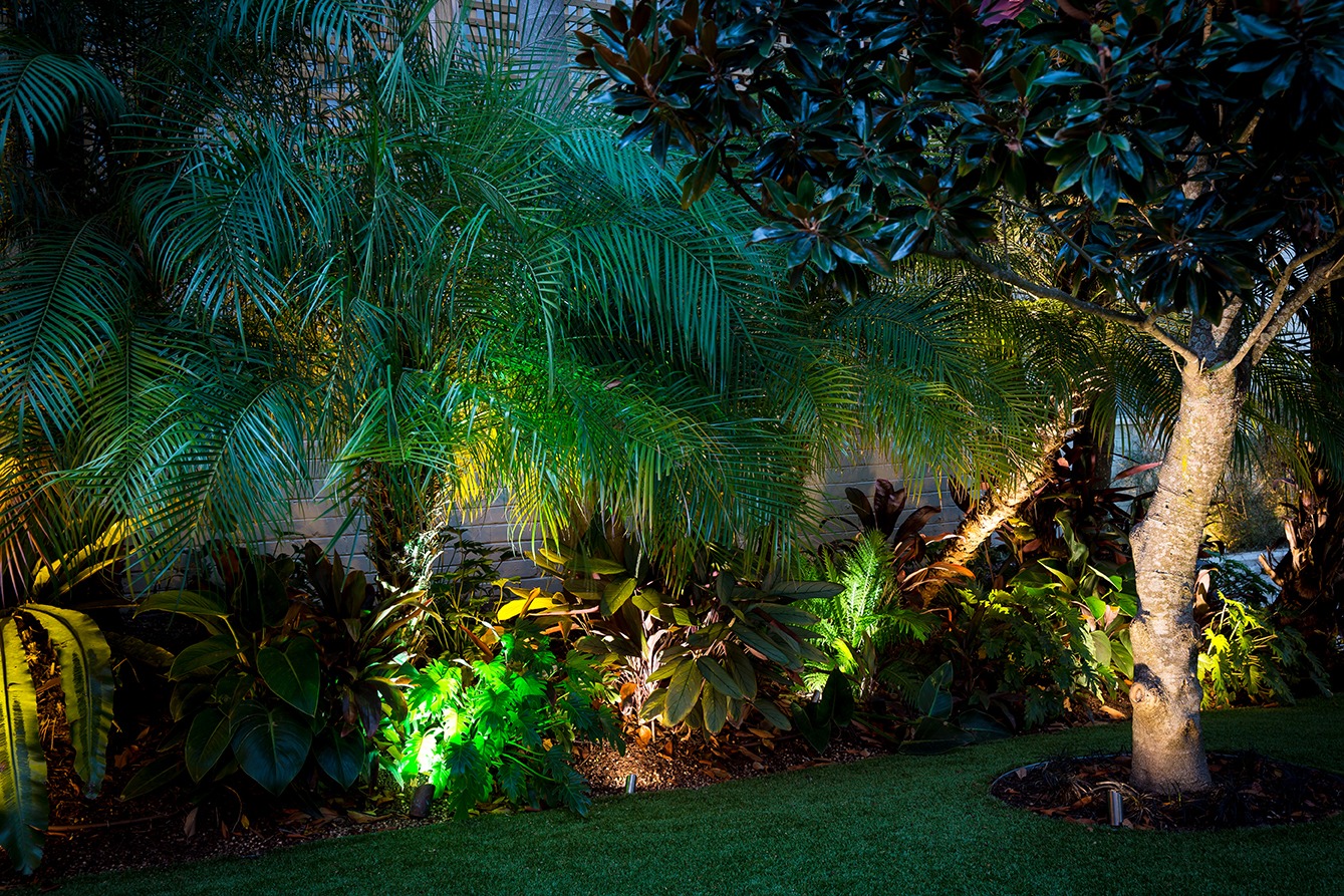 Landscape Lighting, Outdoor Lighting For Trees And Shrubs