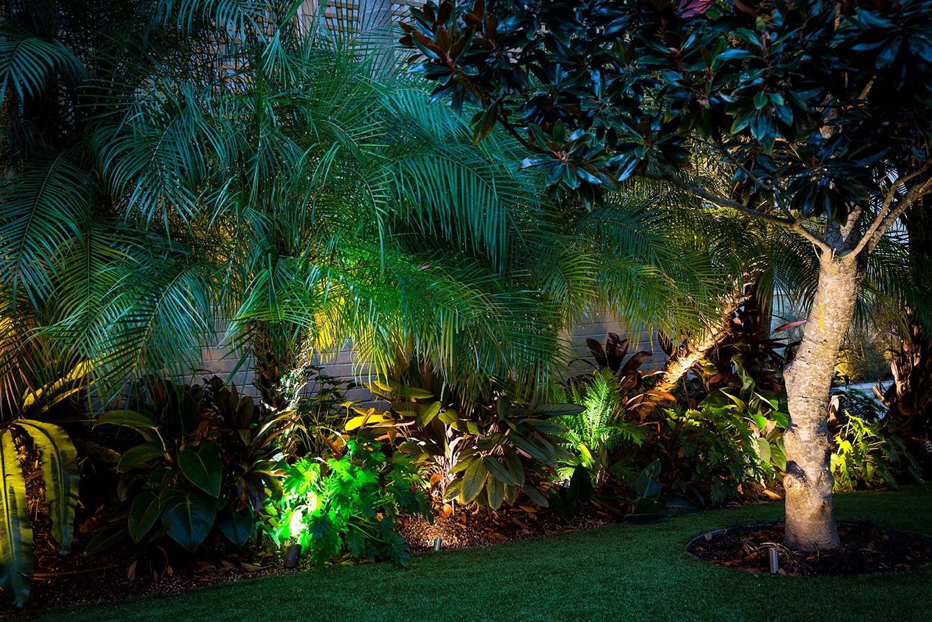 landscape lighting for shrubs