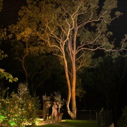 Beecroft_night-bg