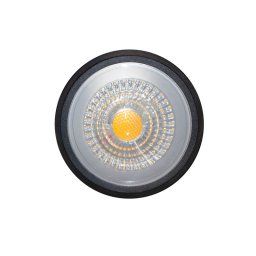 LED Garden Spike Light – High Powered Stainless Steel